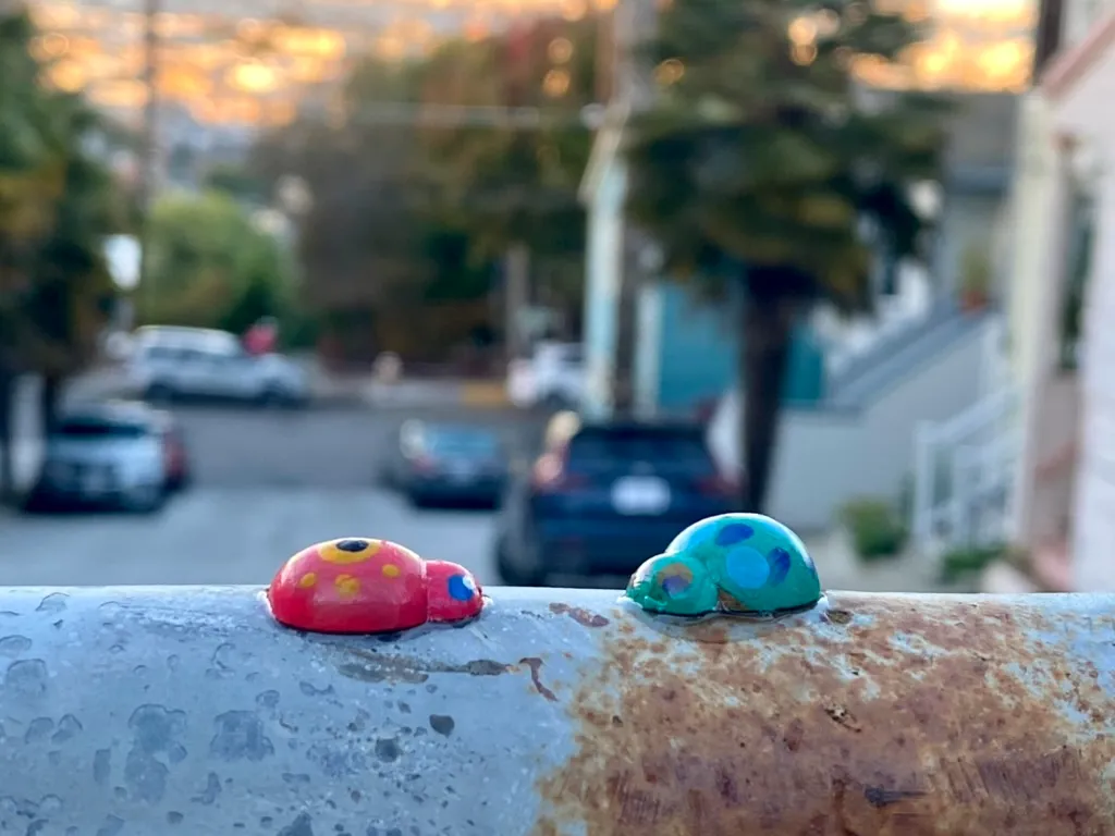 Franconia/Montcalm Ladybugs