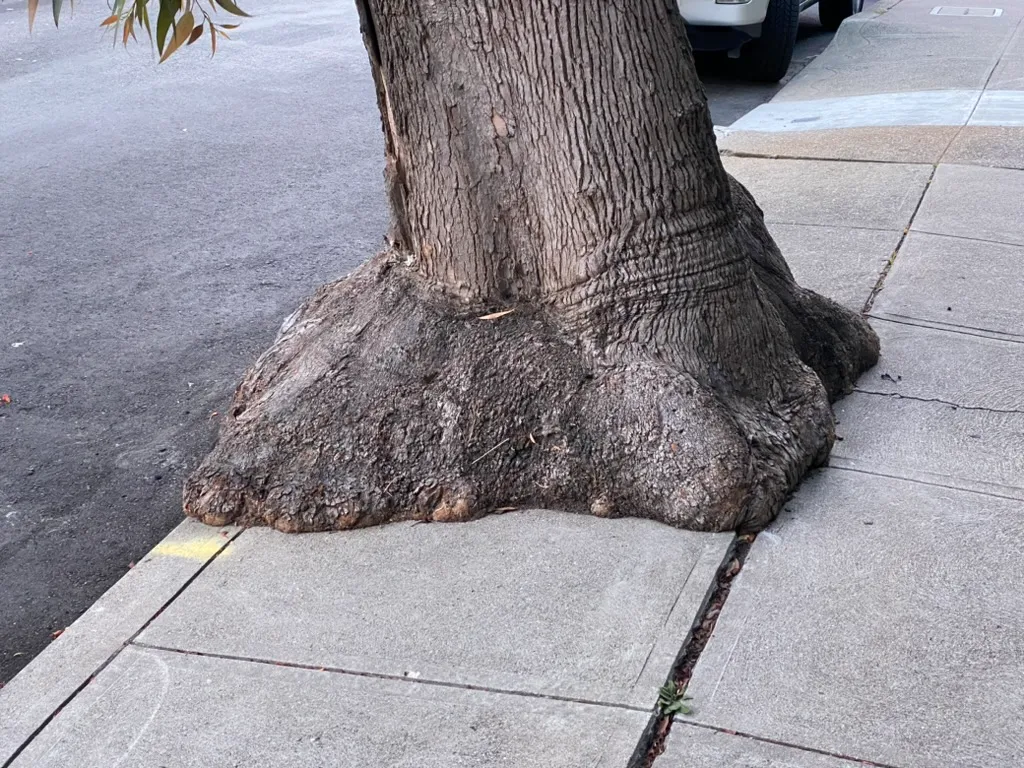 Unstoppable Tree